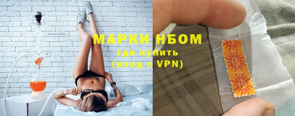 PSILOCYBIN Алзамай
