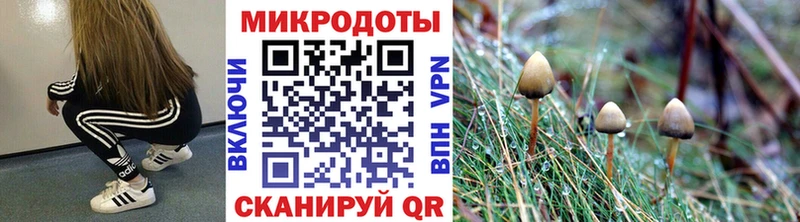 Галлюциногенные грибы Cubensis  Лодейное Поле 