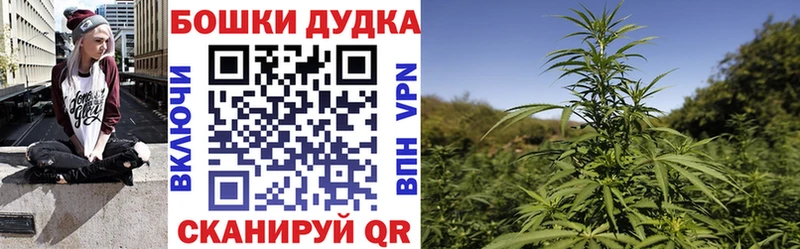 продажа наркотиков  Лодейное Поле  МАРИХУАНА White Widow 